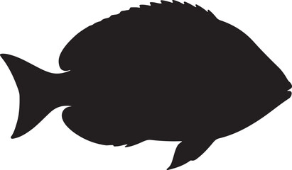 Damselfish Silhouette on White Background
