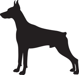 Doberman Pinscher Silhouette on White Background
