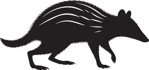 Eastern Barred Bandicoot Silhouette on White Background