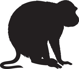 De Brazza's Monkey Silhouette on White Background
