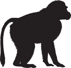 Gelada Silhouette on White Background