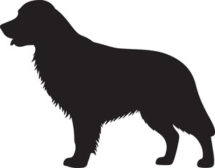 Golden Retriever Silhouette on White Background