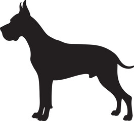 Great Dane Silhouette on White Background