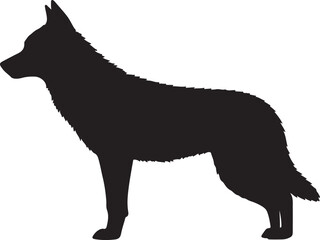 Iberian Wolf Silhouette on White Background