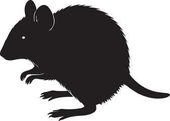 Kangaroo Rat Silhouette on White Background