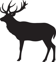 Kashmir Stag Silhouette on White Background