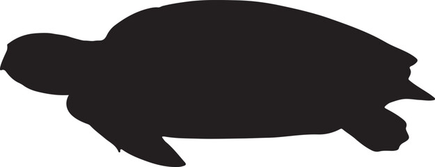 Kemp’s Ridley Sea Turtle Silhouette on White Background