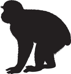 L'Hoest's Monkey Silhouette on White Background