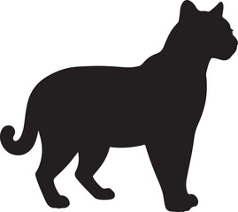 Ocelot Silhouette on White Background