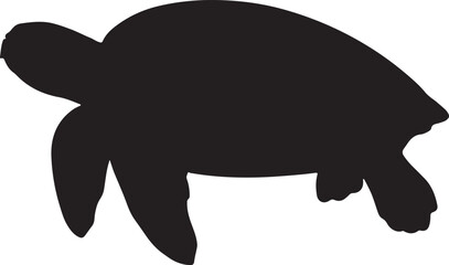 Olive Ridley Sea Turtle Silhouette on White Background