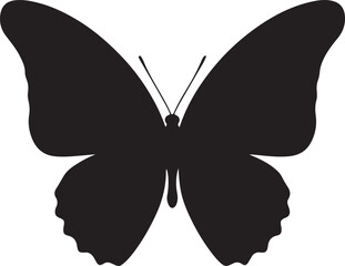 Queen Alexandra’s Birdwing Silhouette on White Background