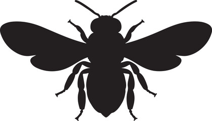 Queen Bee Silhouette on White Background