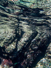 Cliff reef under the sea in Myanmar