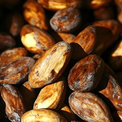 Obraz premium Roasted Cacao Beans Close Up Texture Photo