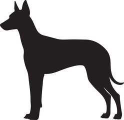Ibizan Hound Silhouette