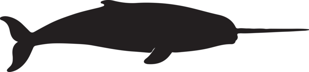 Narwhal Silhouette © Rizwan Ahmad