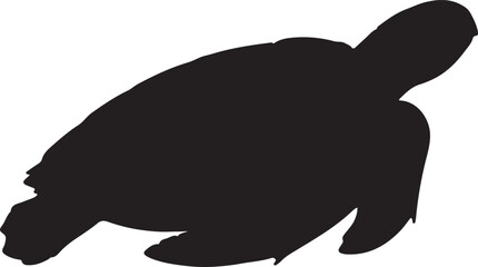 Olive Ridley Sea Turtle Silhouette