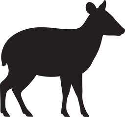 Pudu Silhouette