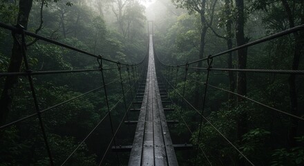 Wooden suspension bridge extending into a dense, misty forest