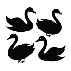 Set of silhouettes of swans vector design with white Background.