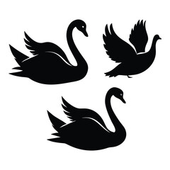 Set of silhouettes of swans vector design with white Background.