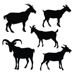 Silhouettes of goats farm vector design set with white Background.