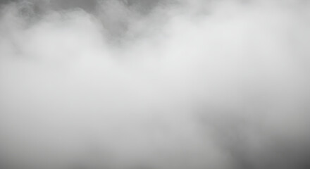 Dense Fog Blanketing Landscape Creates Eerie Atmospheric Ambience