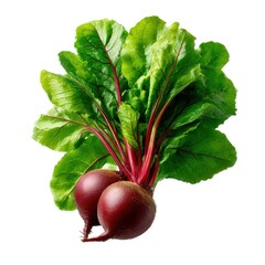 Two beets with green leaves on white background