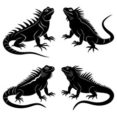 Fototapeta premium Iguana Silhouette vector