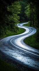Fototapeta premium A picturesque winding road meanders through a lush forest, flanked by tall, vibrant green trees. Sunlight filters through the leaves, casting dappled shadows on the asphalt.