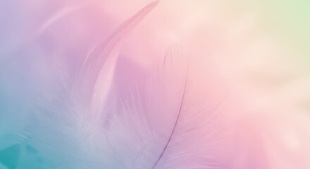 A delicate and dreamy abstract background featuring the gentle texture of a feather blended with soft washes of pastel hues like pink, blue, and green.