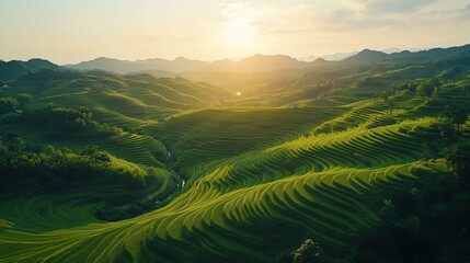 Tranquil rice terraces bathed in golden light with lush green landscapes