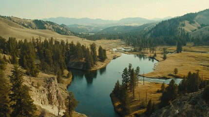 Fototapeta premium Aerial view of a river winding through a valley with trees and mountains in the background during daytime