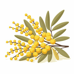 flower, plant, background, yellow, spring, blossom, branch, floral, illustration, mimosa, natural, leaf, nature, wattle, beautiful, acacia, vector, design, decorative, flora, season, botanical, tree, 