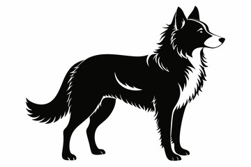 border collie sihouette black vector