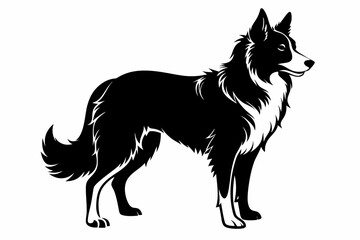 Fototapeta premium border collie sihouette black vector
