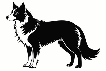 Fototapeta premium border collie sihouette black vector
