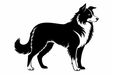 border collie sihouette black vector