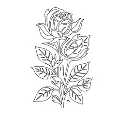 Two Rosebuds: Floral Outline Elegance Isolated
