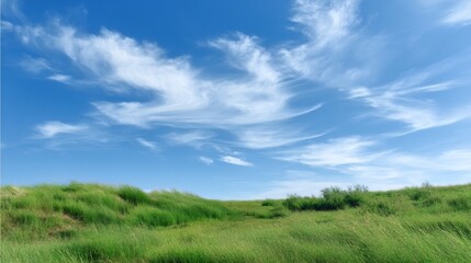 Obraz premium Landscape with Green Grass Field under Bright Blue Sky and Light White Clouds