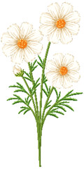 Elegant White Cosmos Flower Vector Illustration