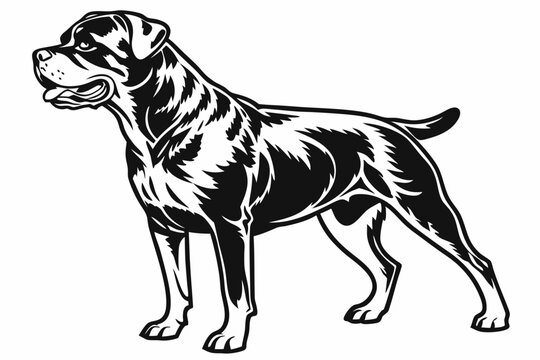 rottweiler sihouette black vector