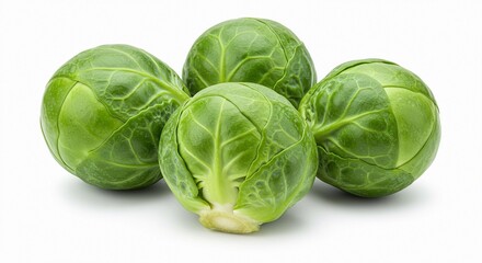 Fototapeta premium A close up shot of four brussels sprouts on a white surface with natural lighting and soft shadows