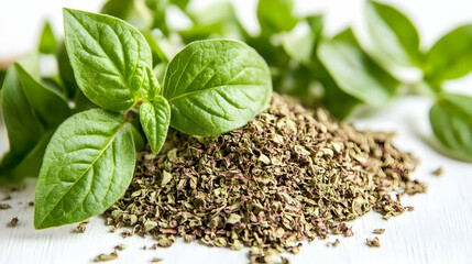 Fresh and dried basil leaves on white background
