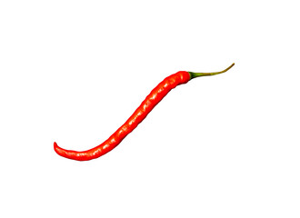 red hot chili isolated element