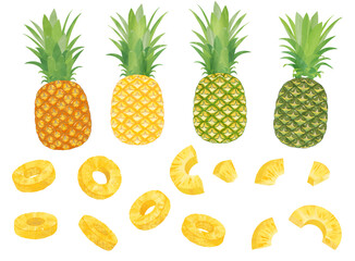 水彩風パイナップルのバリエーションと輪切りパインのイラストセット