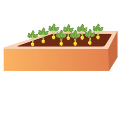 Raised vegetable garden bed.