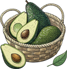 Fresh Avocado Vector Illustration