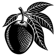  Mango Fruit with Leaves Illustration, Black and White Vector