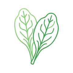 Gradient Spinach Leaf Vector Illustration, Organic Greens Design
